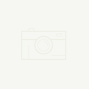 ����_(k��i)�l(f��)���̎�